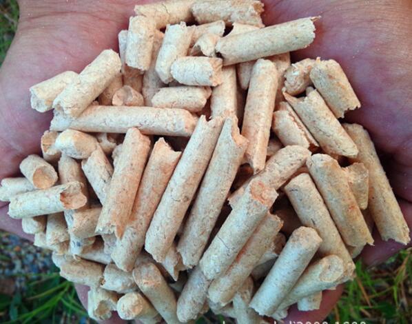 生物質(zhì)燃料顆粒機(jī)設(shè)備 生物質(zhì)燃料顆粒機(jī)設(shè)備