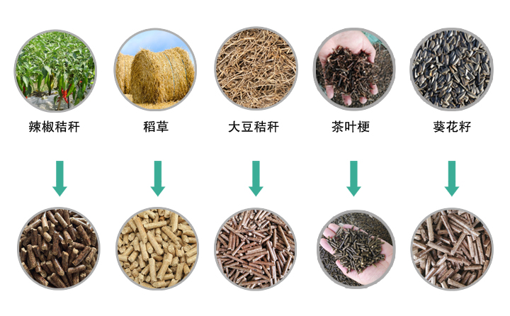 木屑顆粒機(jī)生產(chǎn)的木屑顆粒圖片 木屑顆粒機(jī)生產(chǎn)的木屑顆粒圖片