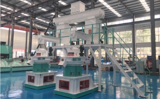 木屑顆粒機(jī)多少錢(qián)一臺(tái)?建顆粒廠(chǎng)大約多少錢(qián)？