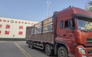 忙碌的五月，忙碌的發(fā)貨，金格瑞顆粒機生產線發(fā)往全國各地