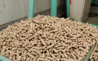 在燃燒時，水分大的生物質(zhì)顆粒會出現(xiàn)哪些問題？