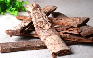 木材加工廠的廢棄物刨花能夠用來做什么？鋸末顆粒機告訴你