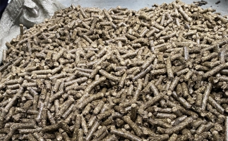 鋸末顆粒機(jī)的顆粒燃料比煤炭貴，為什么還有那么多人用？