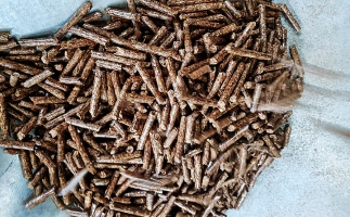 鋸末顆粒機的生物質(zhì)顆粒除了代替原煤，還能用在這！