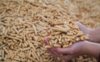 鋸末顆粒機(jī)生物質(zhì)顆粒，你需要知道的常識(shí)問題
