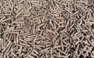 鋸末顆粒機(jī)加工的顆粒燃料價(jià)格主要受哪幾個(gè)方面的影響？