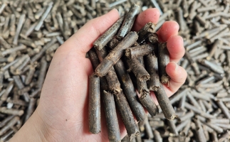 生物質(zhì)顆粒燃料公司前景怎么樣，木屑顆粒機(jī)的顆粒燃料賣給誰的？