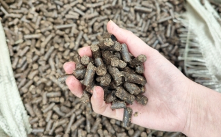 木屑顆粒機(jī)將秸稈變廢為寶，降碳節(jié)能一舉兩得